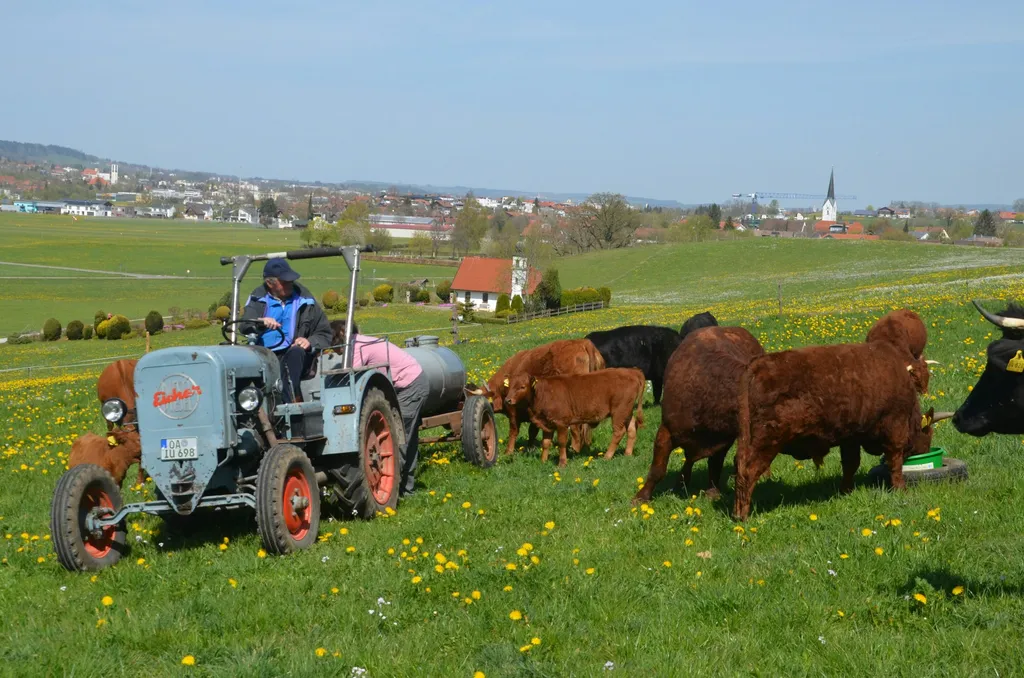 Mit Pferd und Kuh auf Du und Du