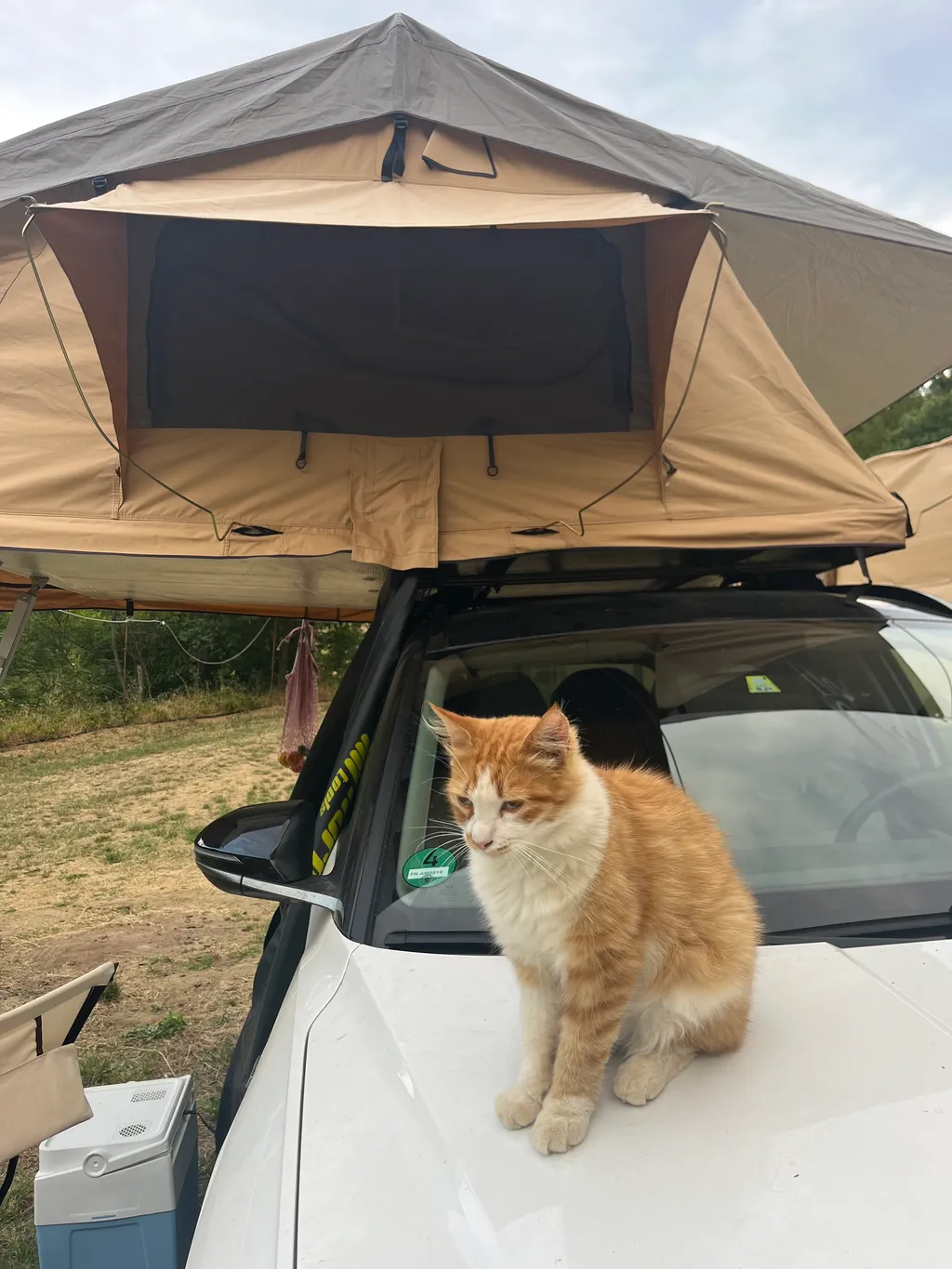 Image de Alexandra pour le spot 4055