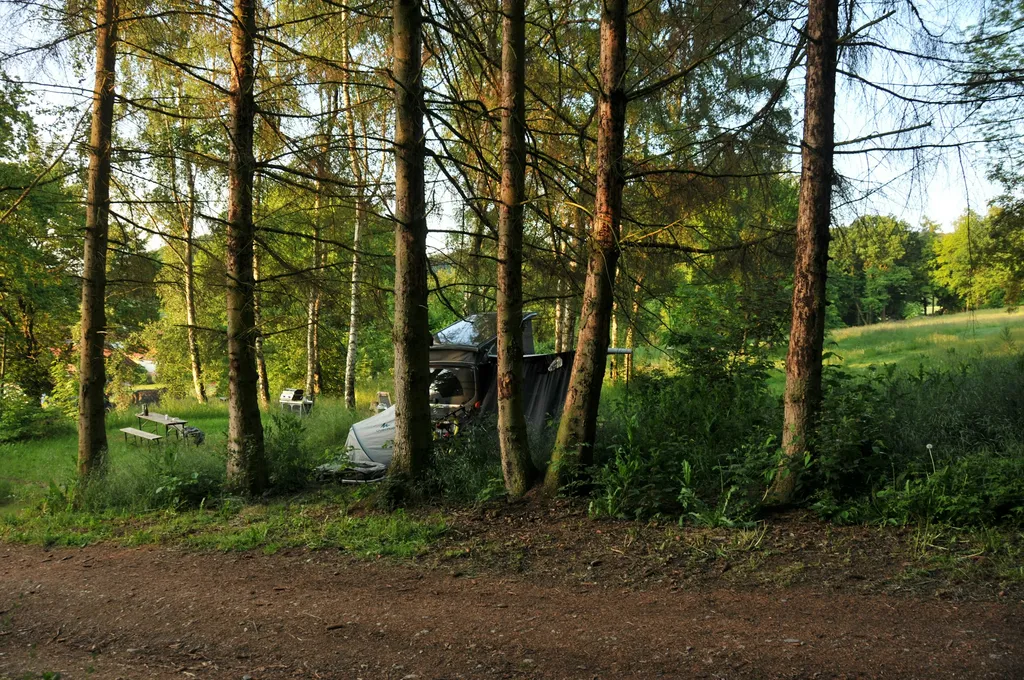 Bienengesumme in Alleinlage