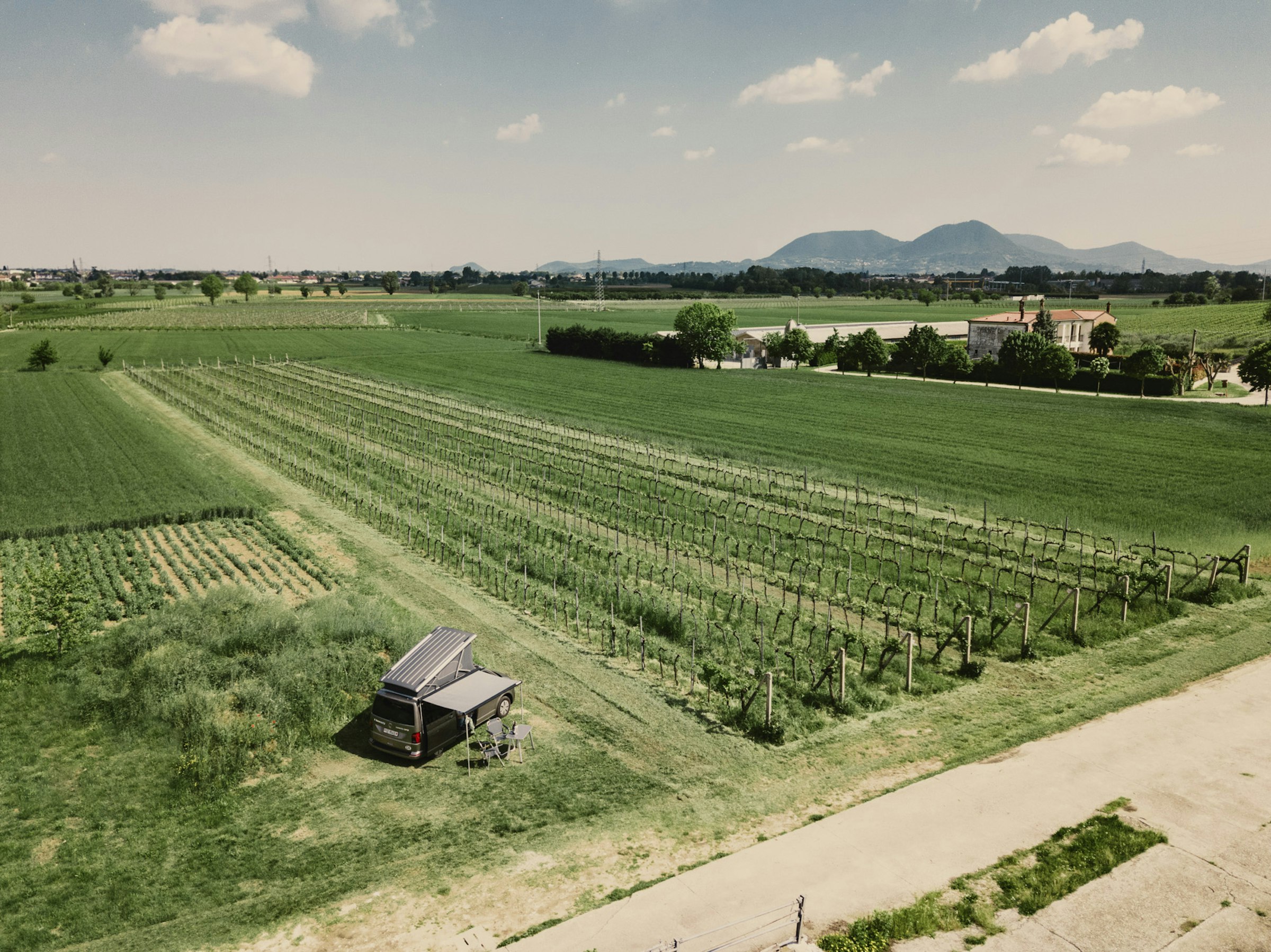 Villa Maffei Costalunga - Vigneto