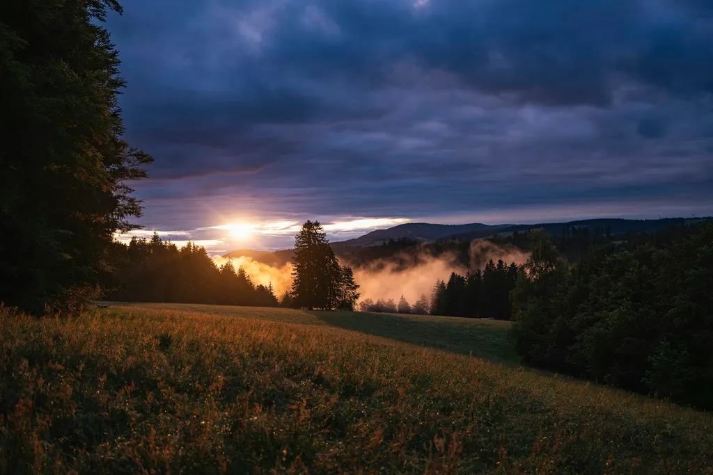 Schweizerhütte - Bergweide