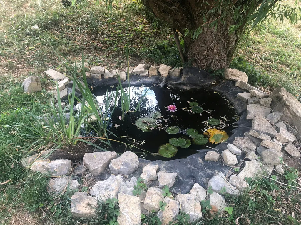 Stellplatz mit WC, Dusche & WLAN