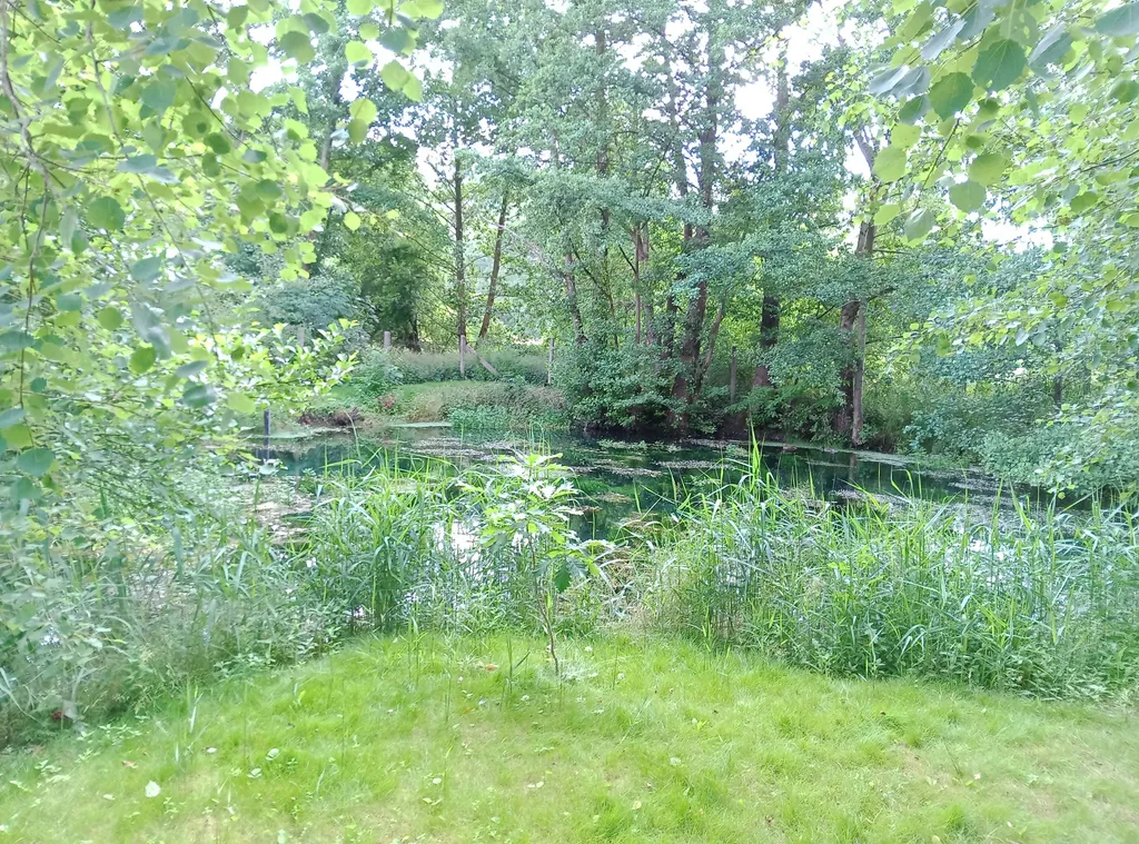 Ehemalige Forellenzucht