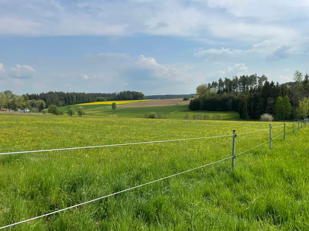 Natur pur mit wundervollem Ausblick