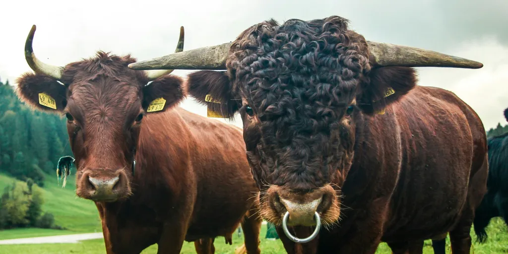 Lieblingsplatz am Bächle