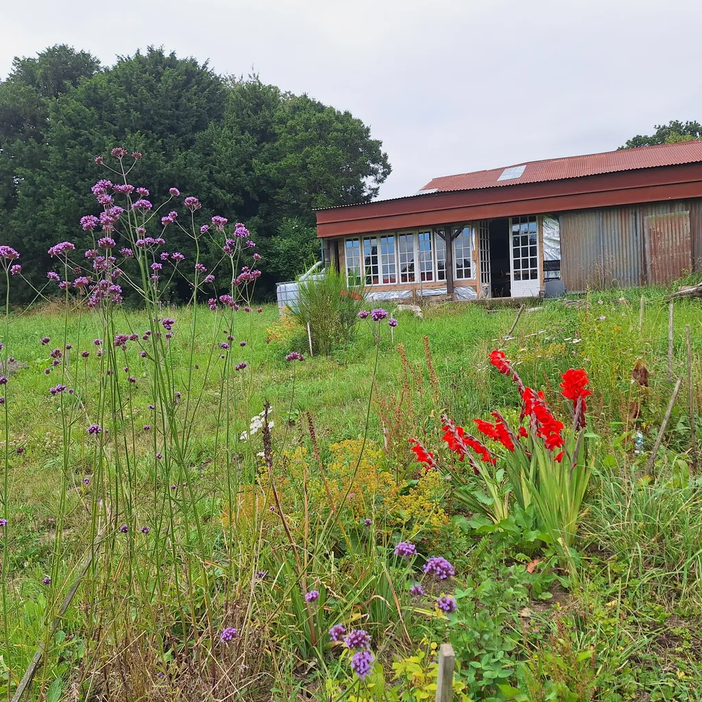 Rural micro farm with veggies for visitors