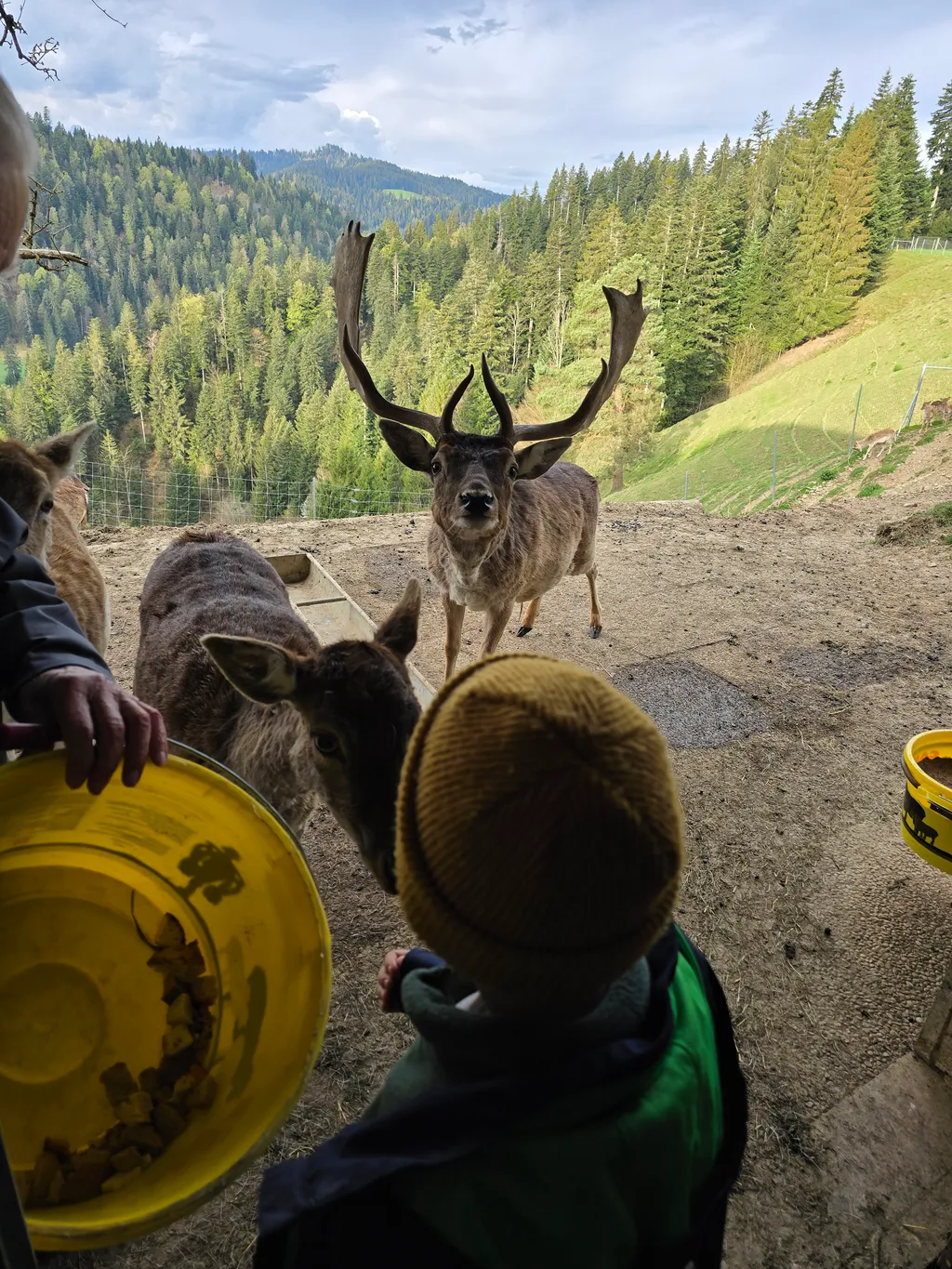 Immagine di Andrea per lo spot 335