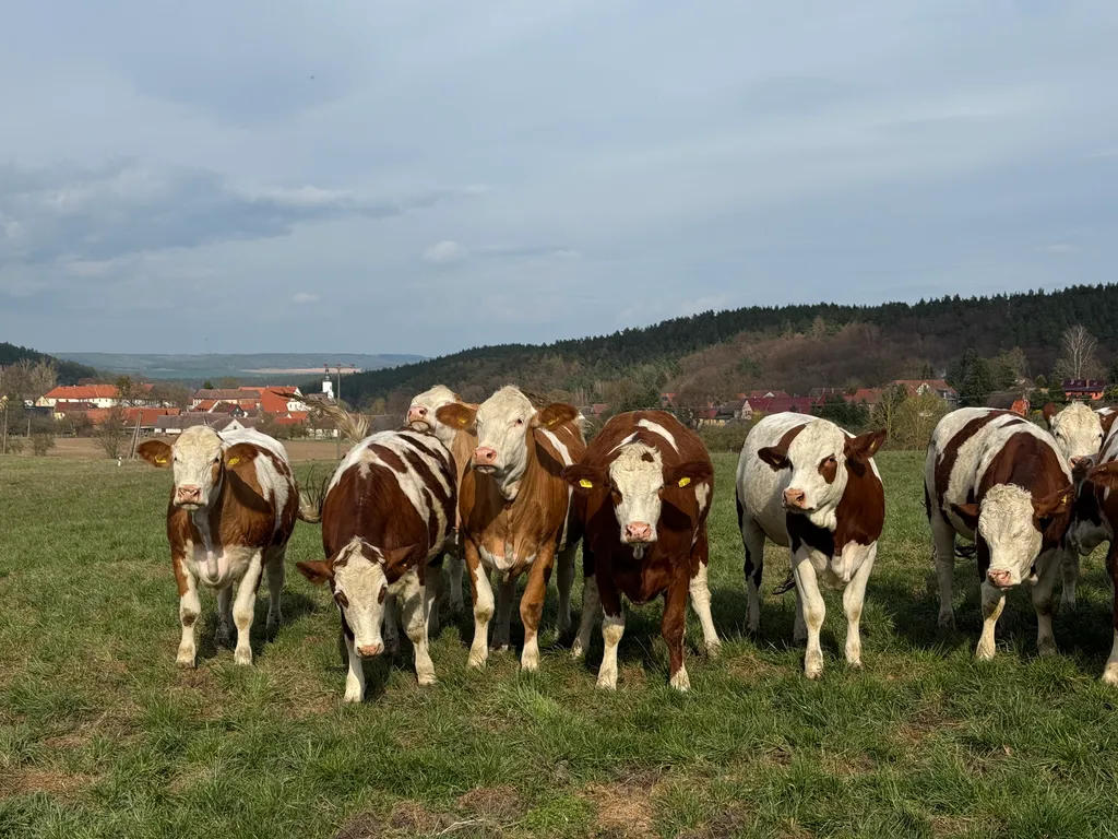 Bild von Jochem für den Spot 1876