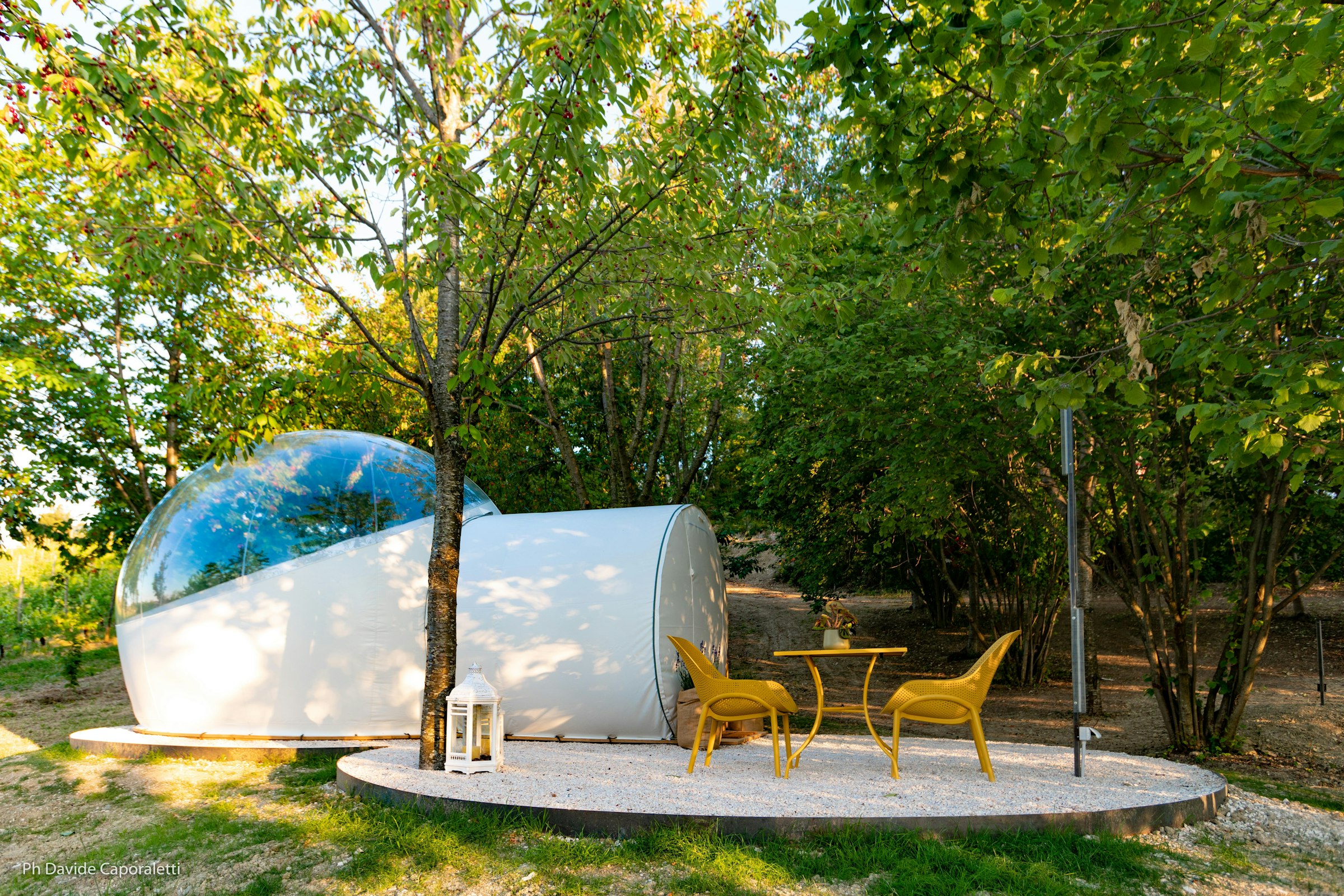 Bubble Room in vigneto a Corinaldo