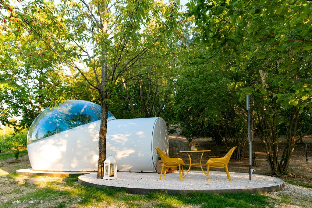 Bubble Room in vigneto a Corinaldo