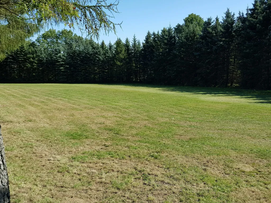 Wiese am Ortsrand