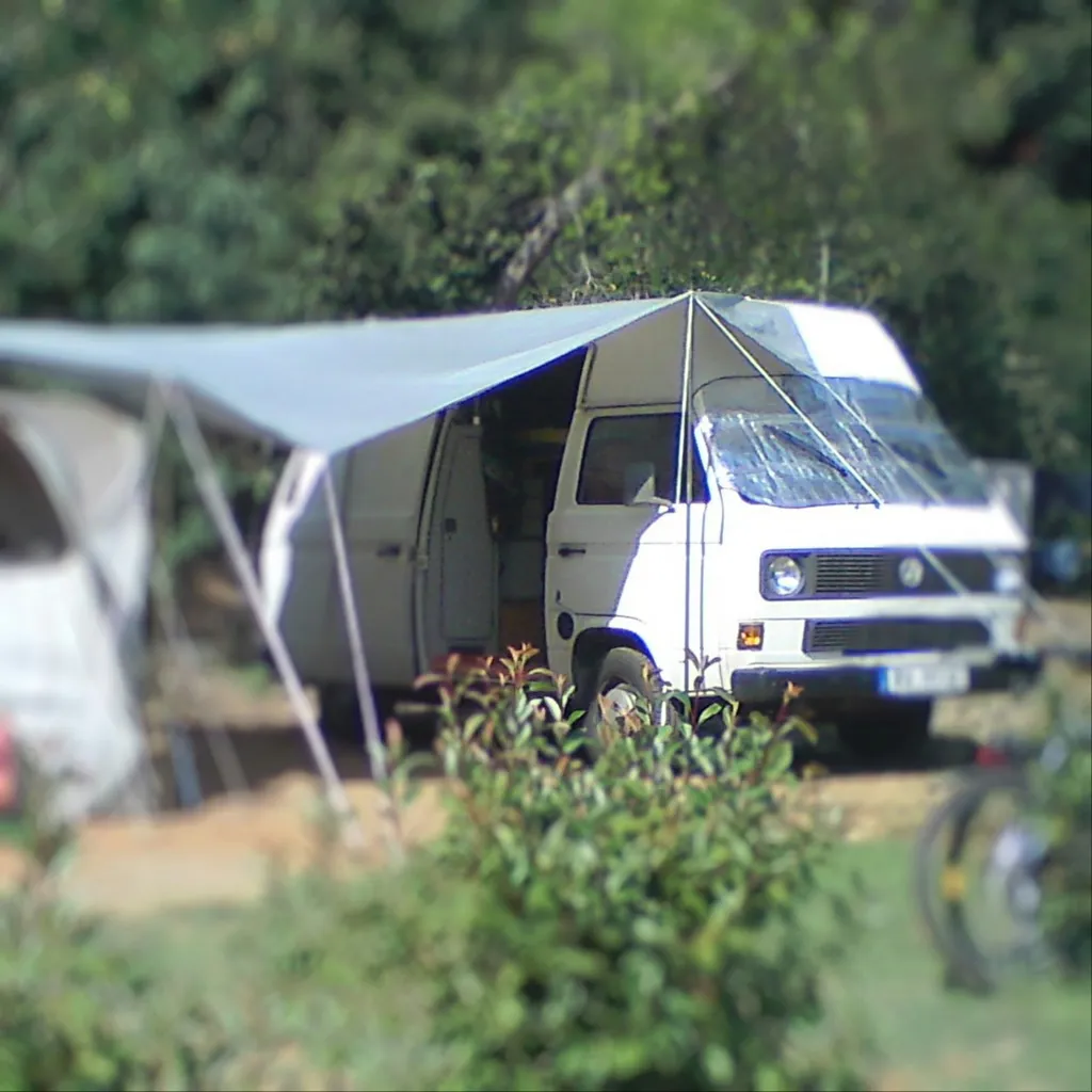 Profile picture of Michael