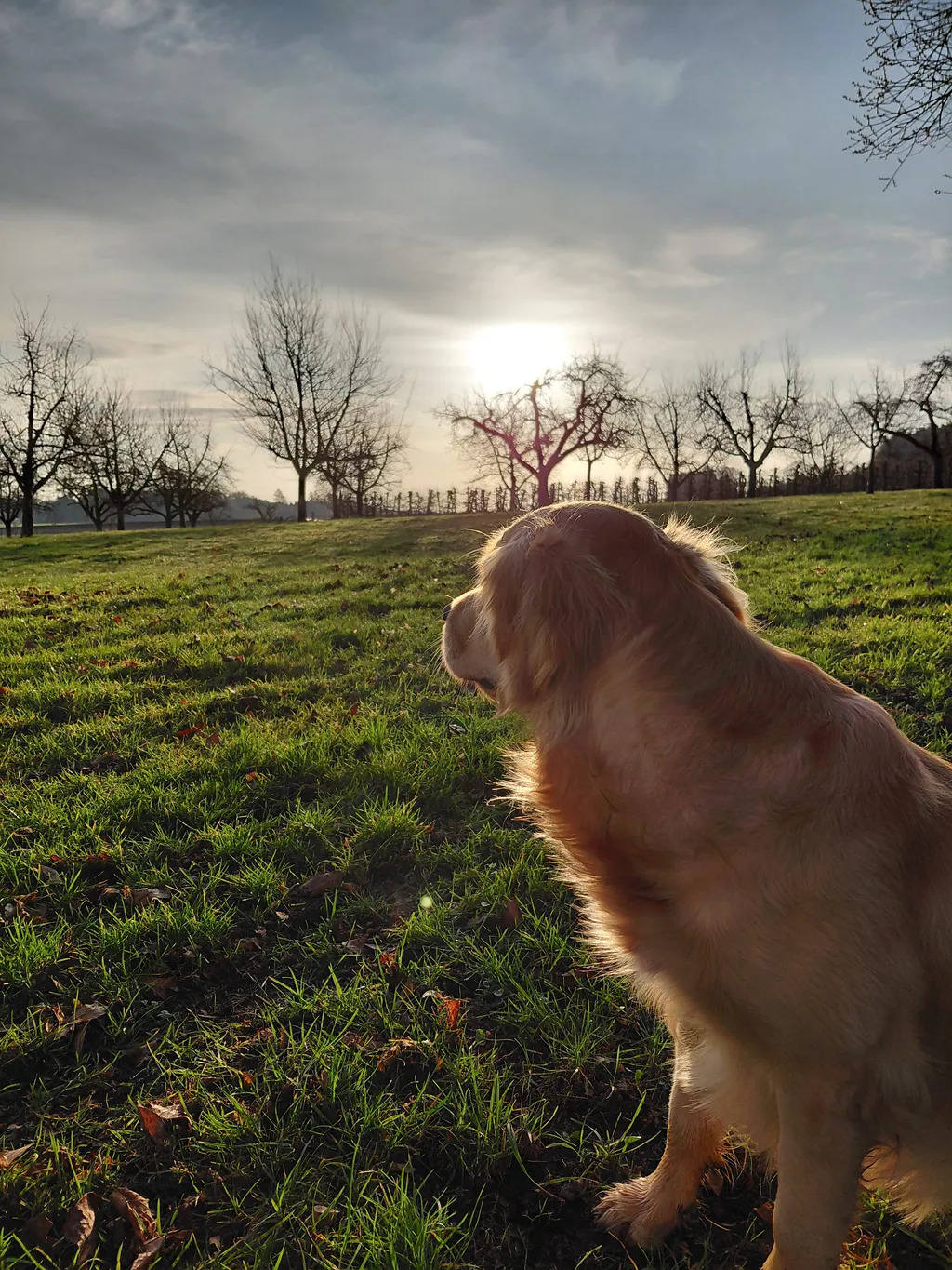 Bild von Simona für den Spot 315