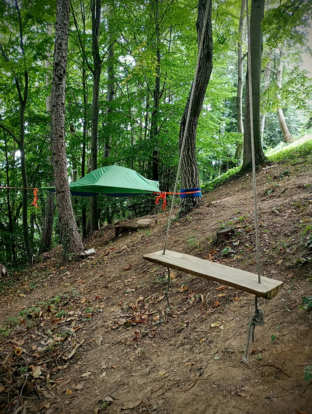 Tree tent. Avventura nel bosco