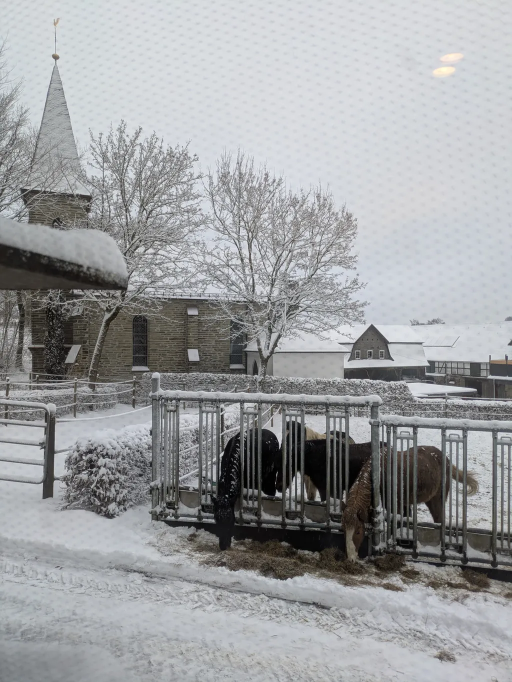 Image by She-La for spot 4264