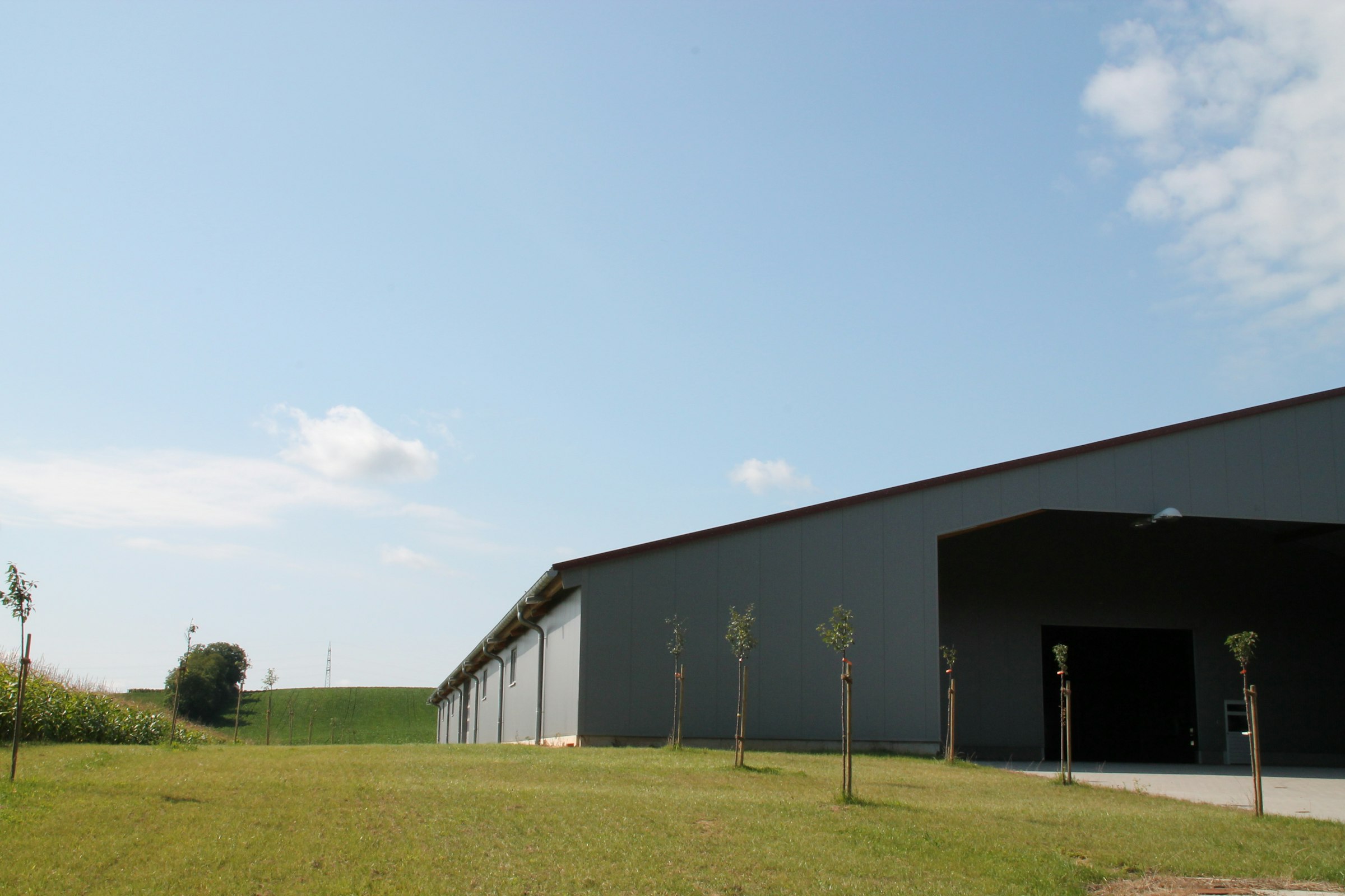 Stellplatz auf der Grünen Wiese