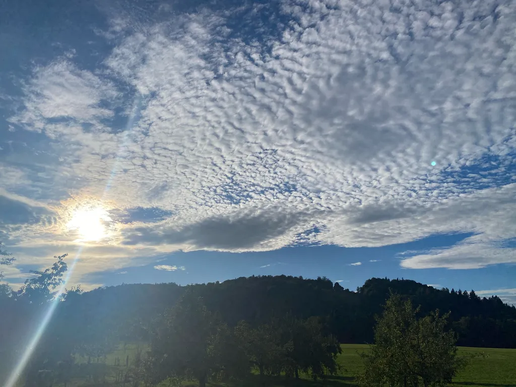Bild von Martina für den Spot 3571