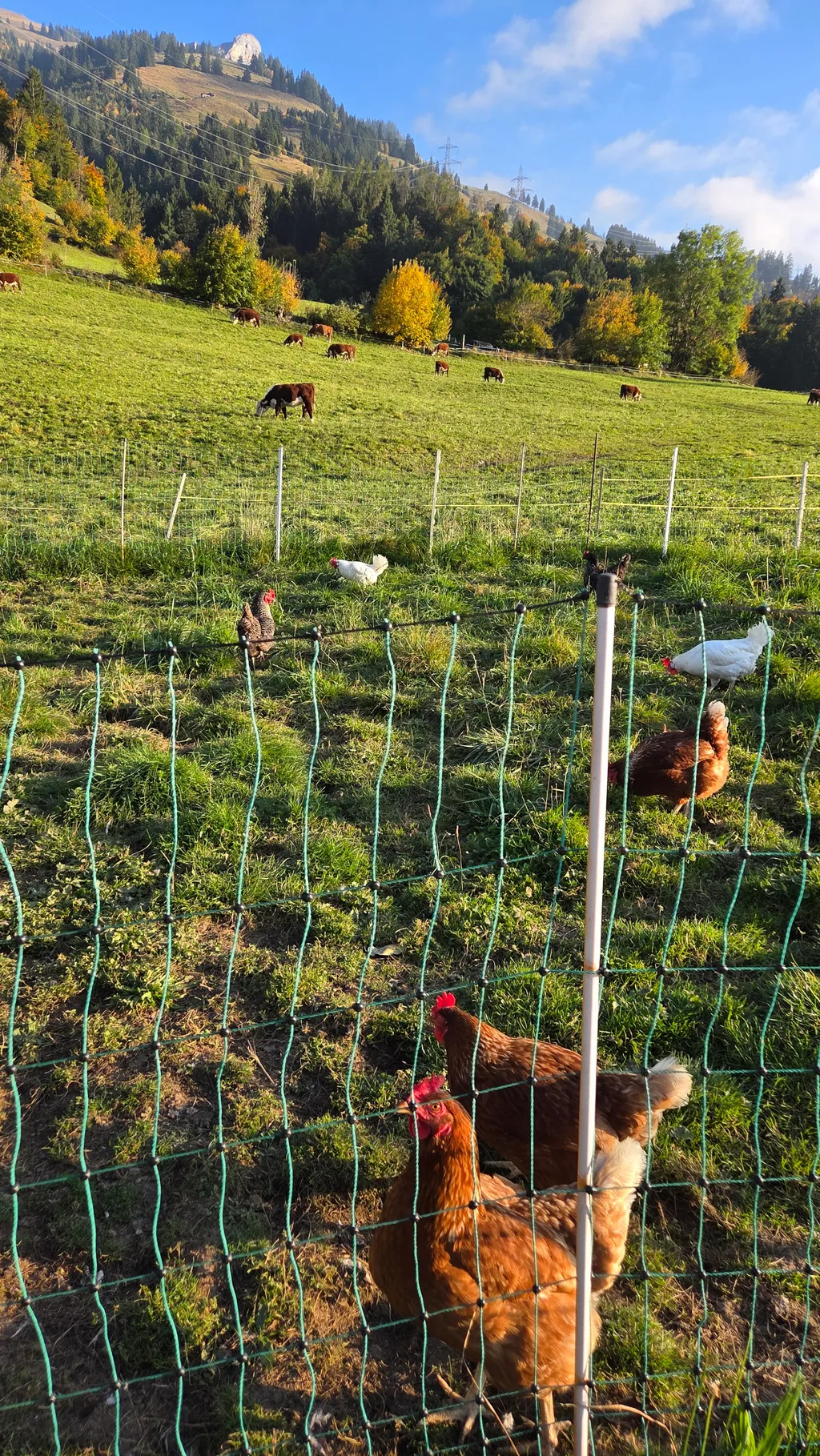 Bild von Fanni für den Spot 777