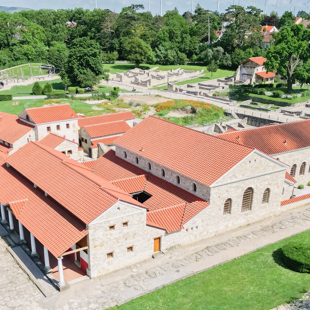 Archäologische Kulturpark Niederösterreich avatar