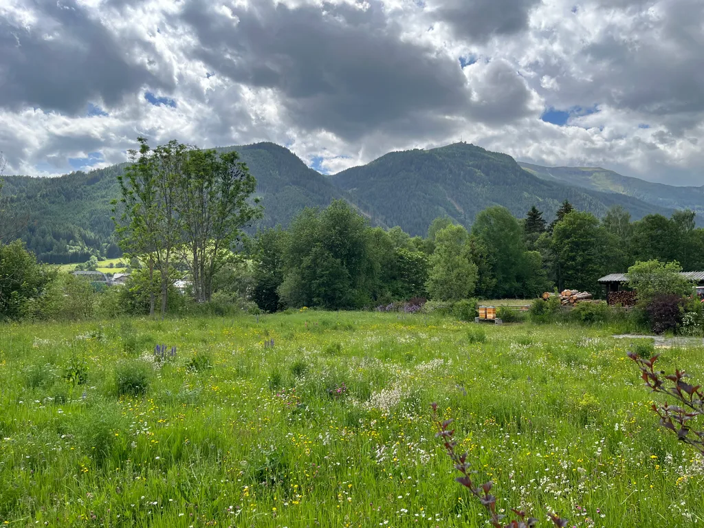 Naturbelassene Wiese im Salzburger Lungau
