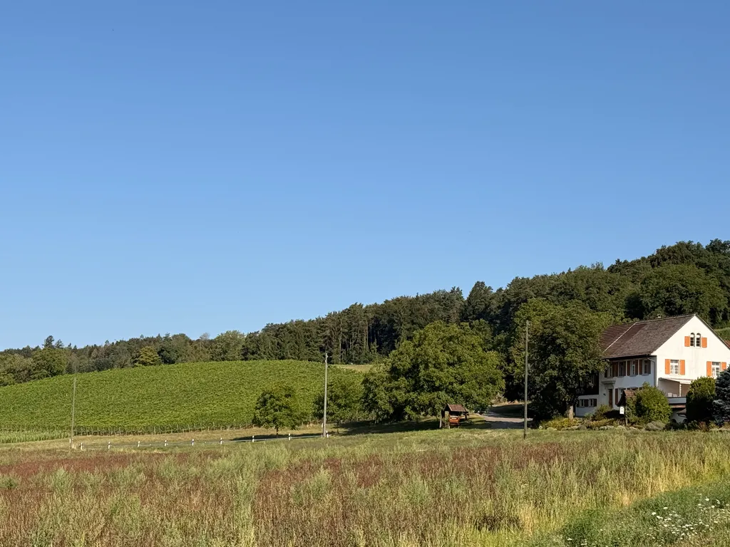 Weingut