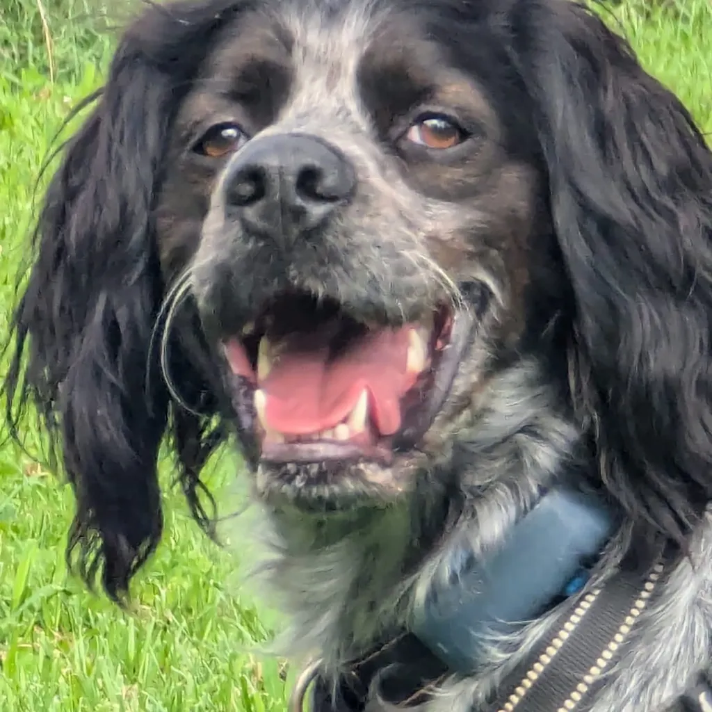 Profilbild von Jürgen