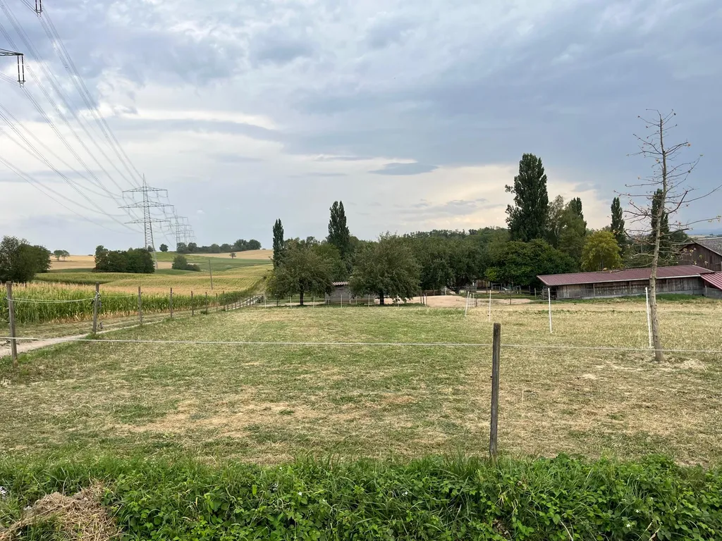 Wiese am Bauernhof mit Panoramablick Berge Fluss
