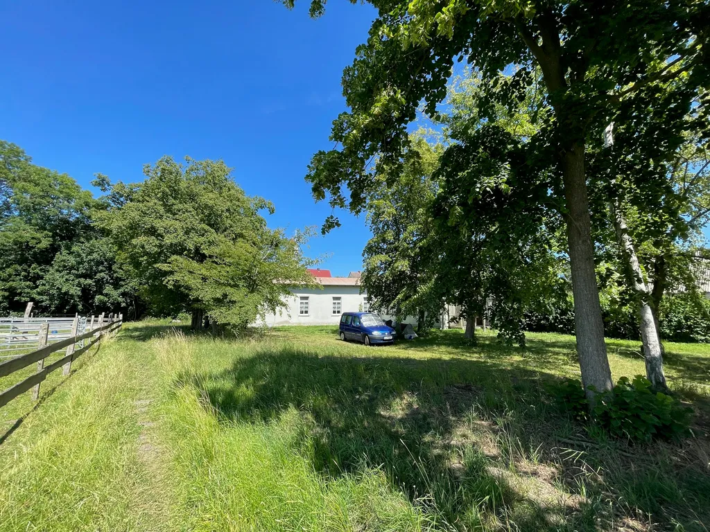 Gartenwiese an kleinem Naturhafen