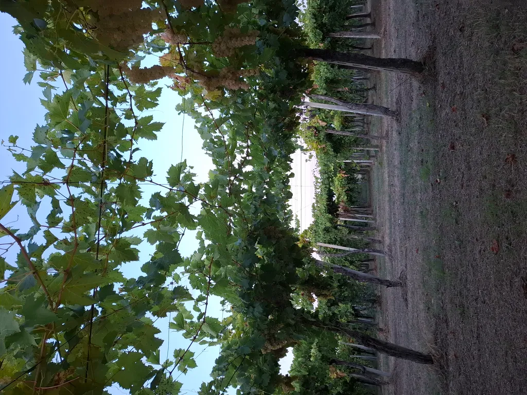 Bild von Patty für den Spot 1047