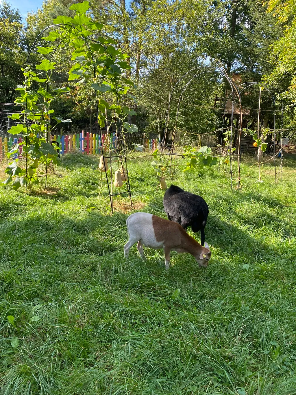 Stellplatz auf #MyParadise