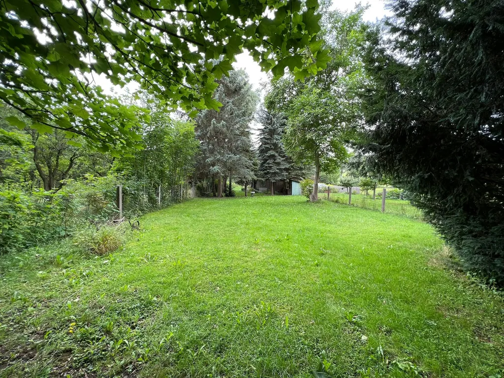 Entspannte Atmosphäre im Grünen