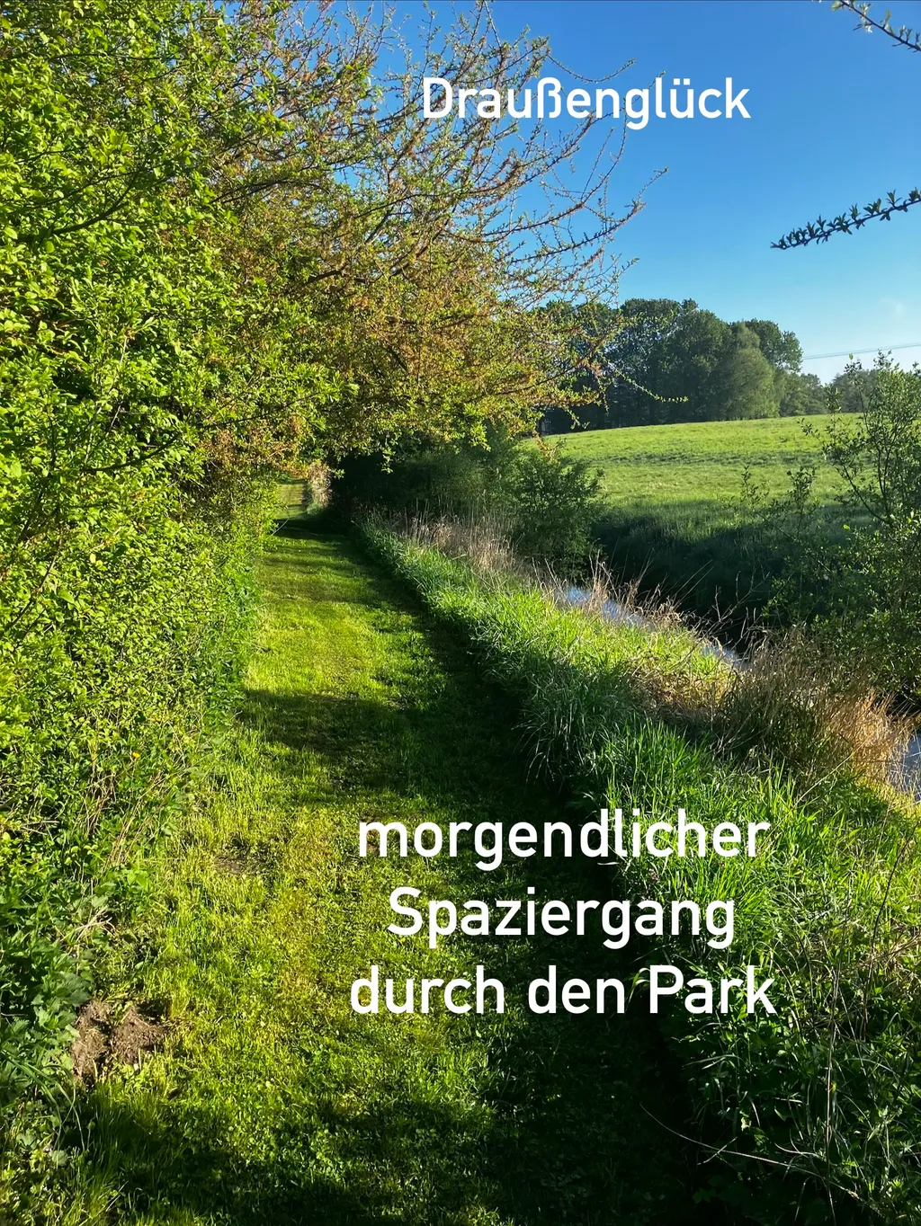 Rastplatz "Draußenglück" 2 am Kritzower See