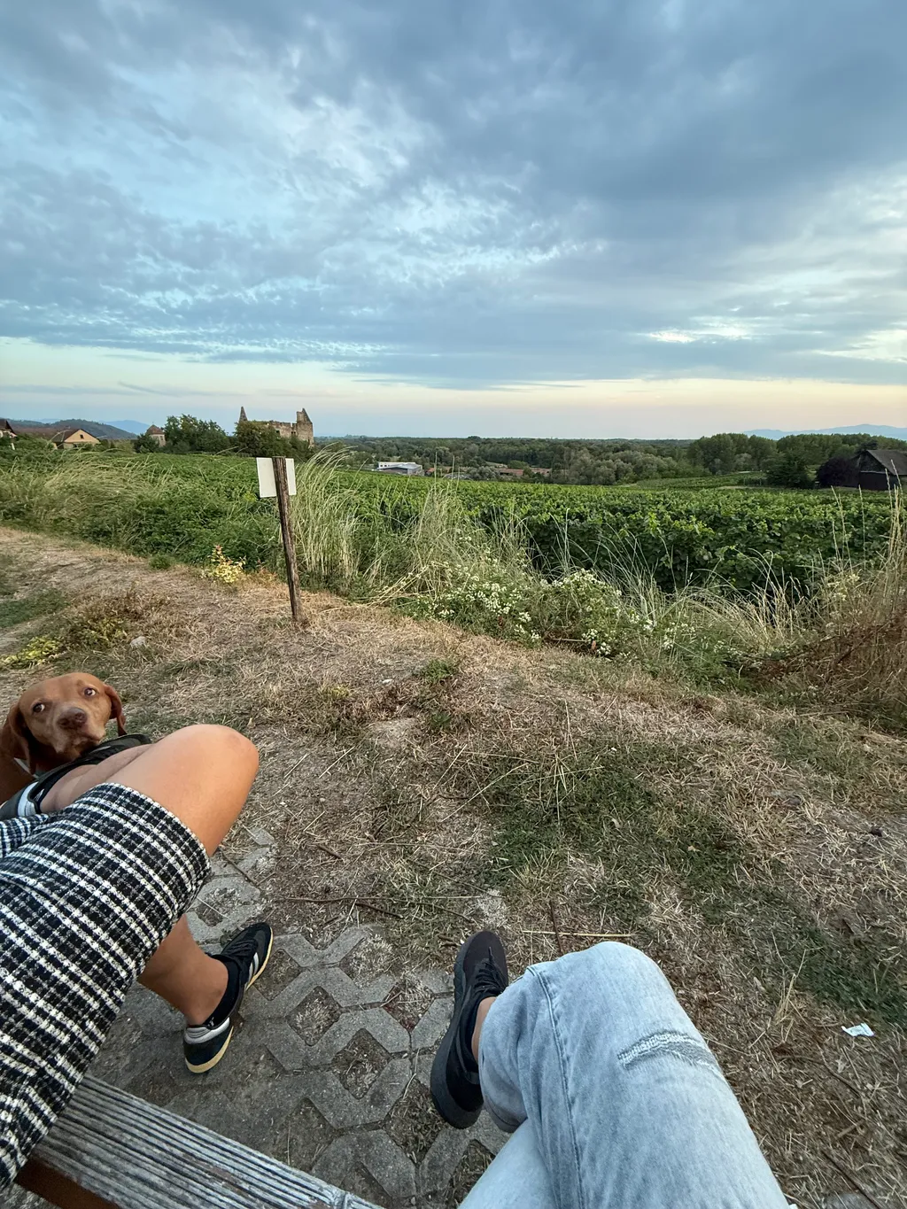 Bild von Sina für den Spot 1690