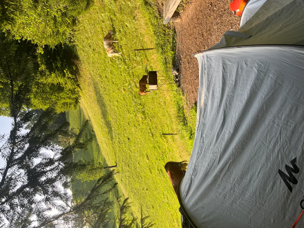 Bild von Camilld für den Spot 218