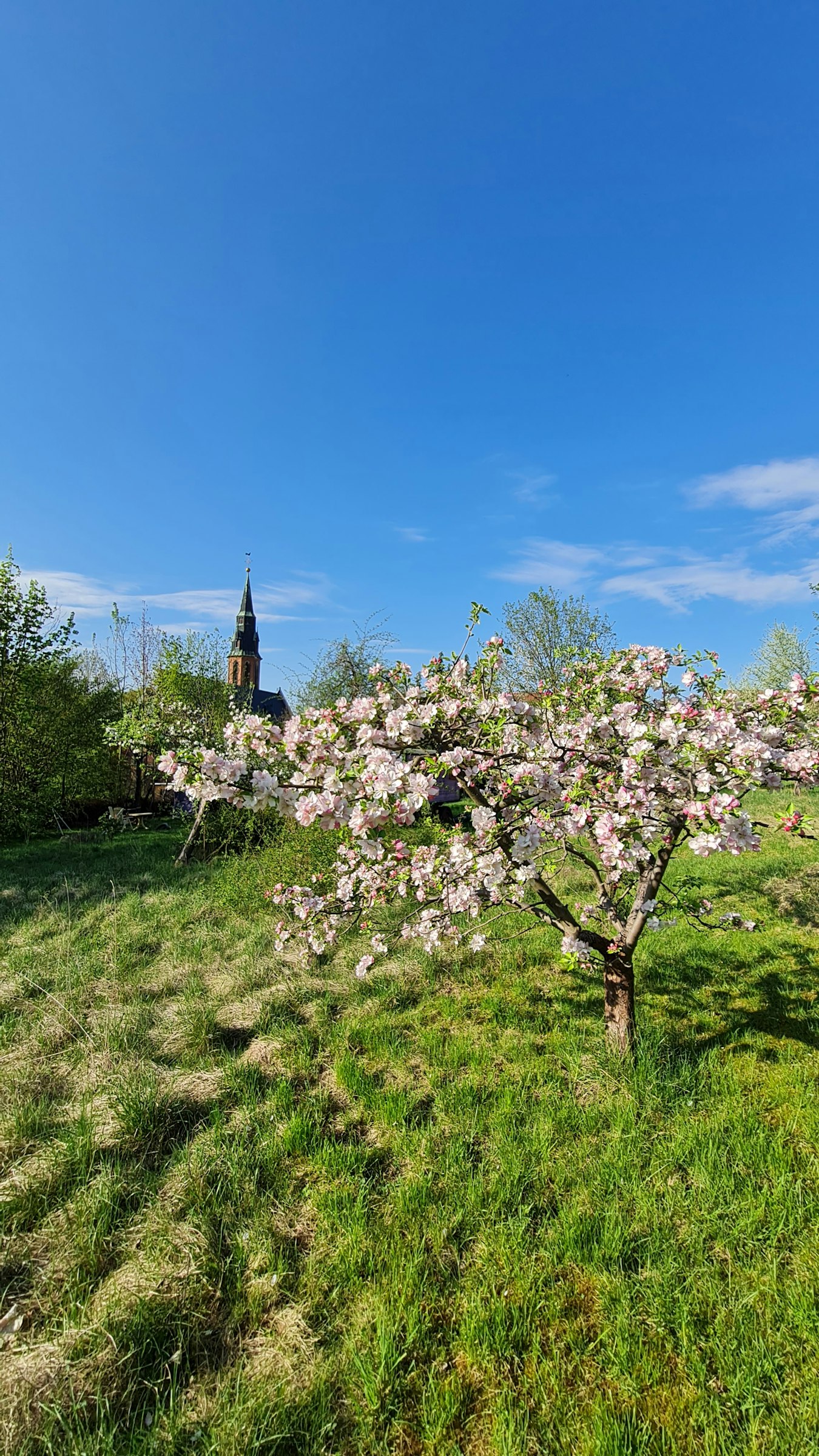 Natur, Kunst und Kultur im Weimarer Land
