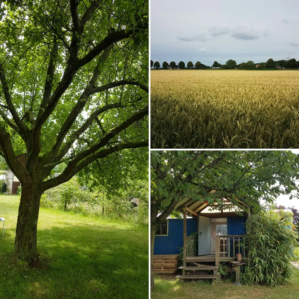 Zeltplatz für Radwanderer