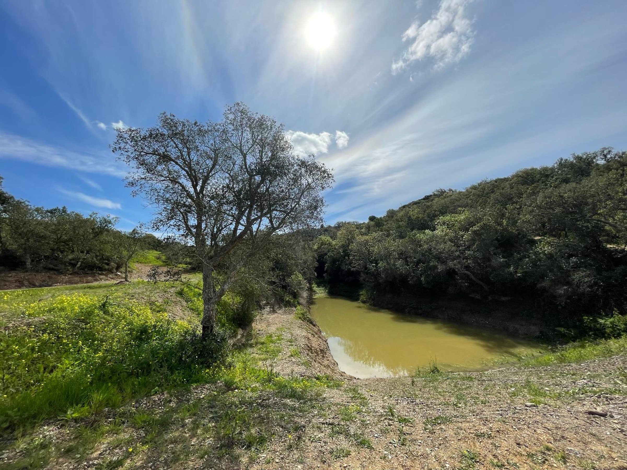 Stellplatz am Schildkrötensee