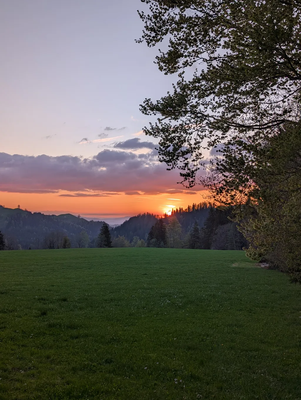 Bild von Iris für den Spot 421