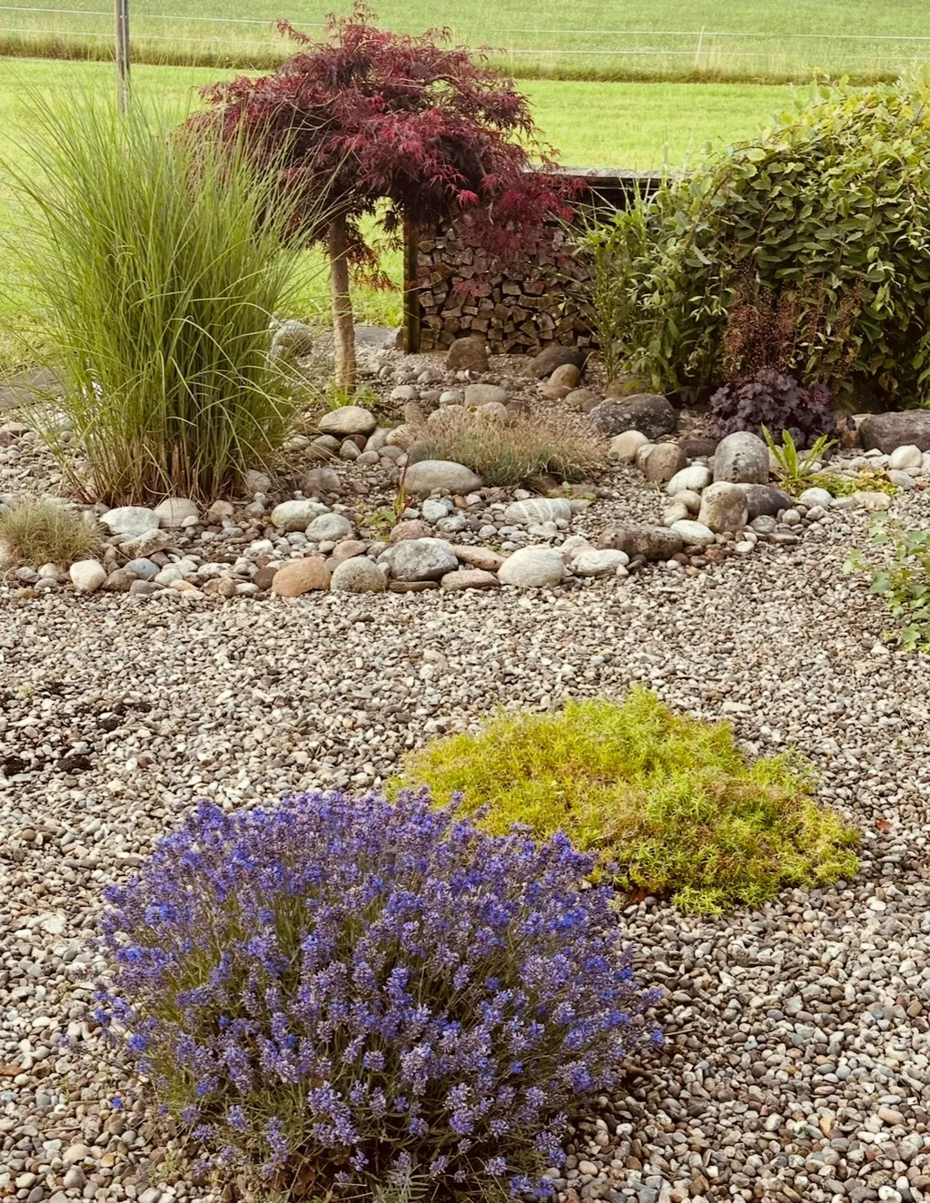 Bätterich Camp Natur/Ruhe/Abenteuer