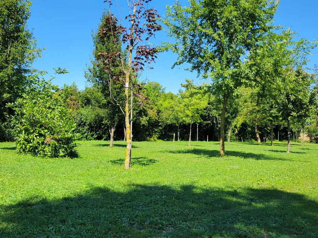Agricampeggio Pini in Fiore