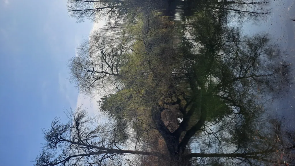 Bild von Patrik für den Spot 1573