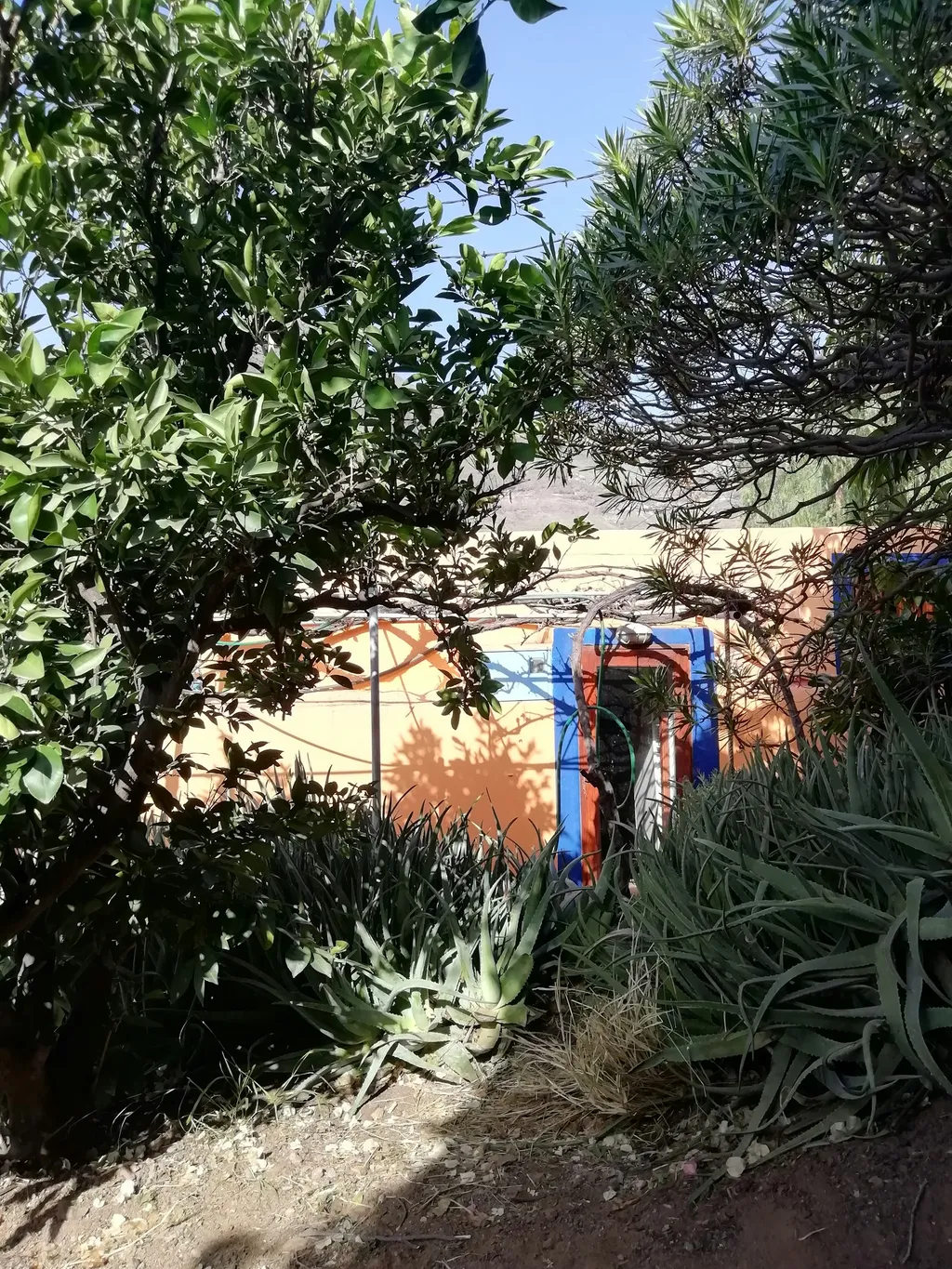 Garten Casa Dhana Gran Canaria