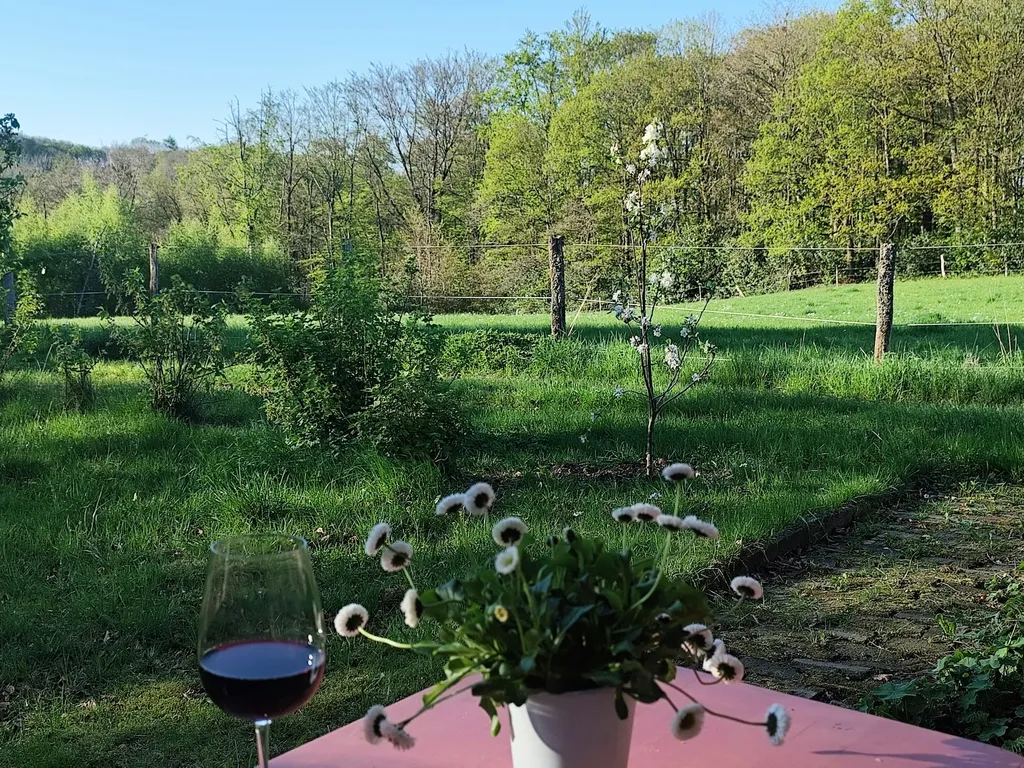 Aussicht von der Terrasse