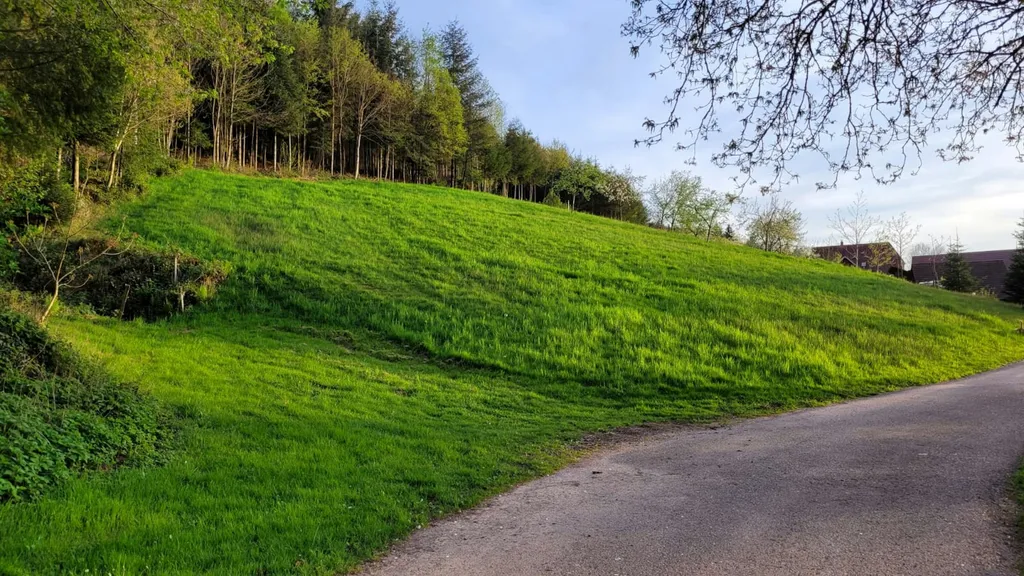 Hasenhof - Gengenbach/Schwarzwald