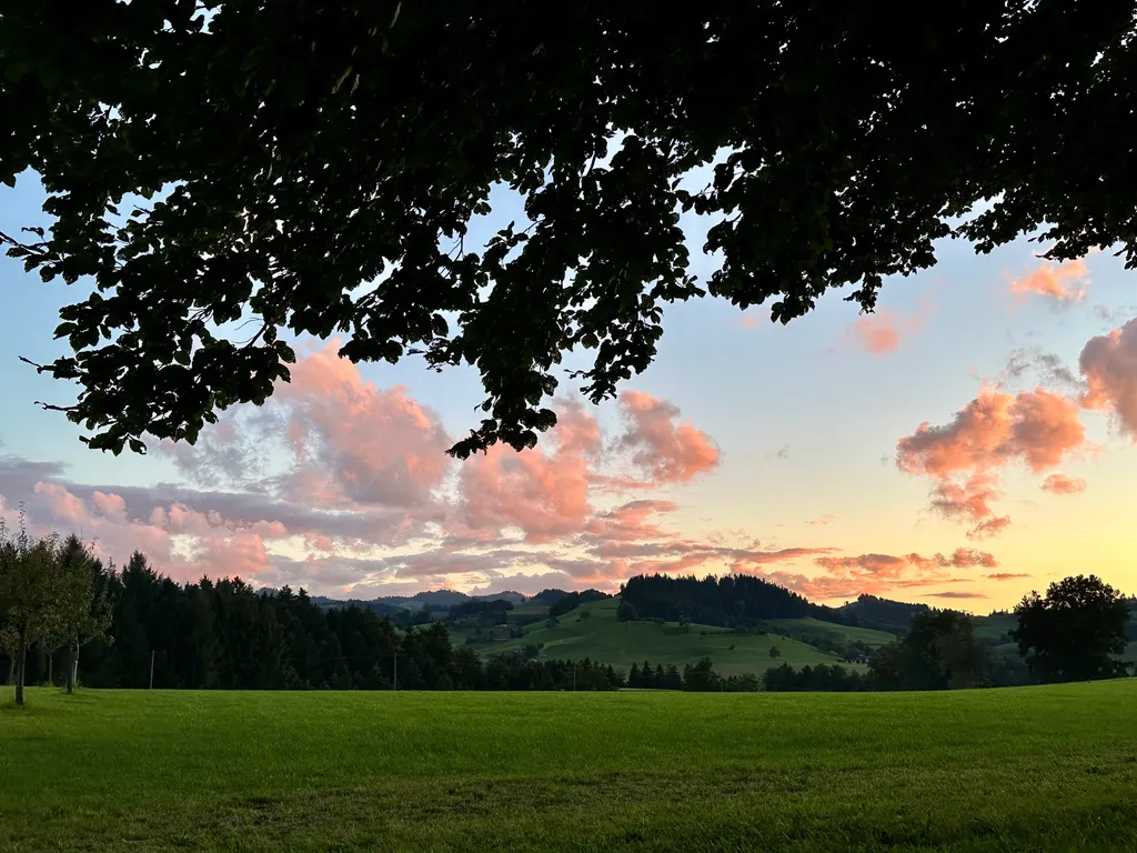 Bild von Janet für den Spot 555