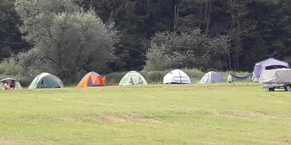 Grüne Wiese am Bachrand