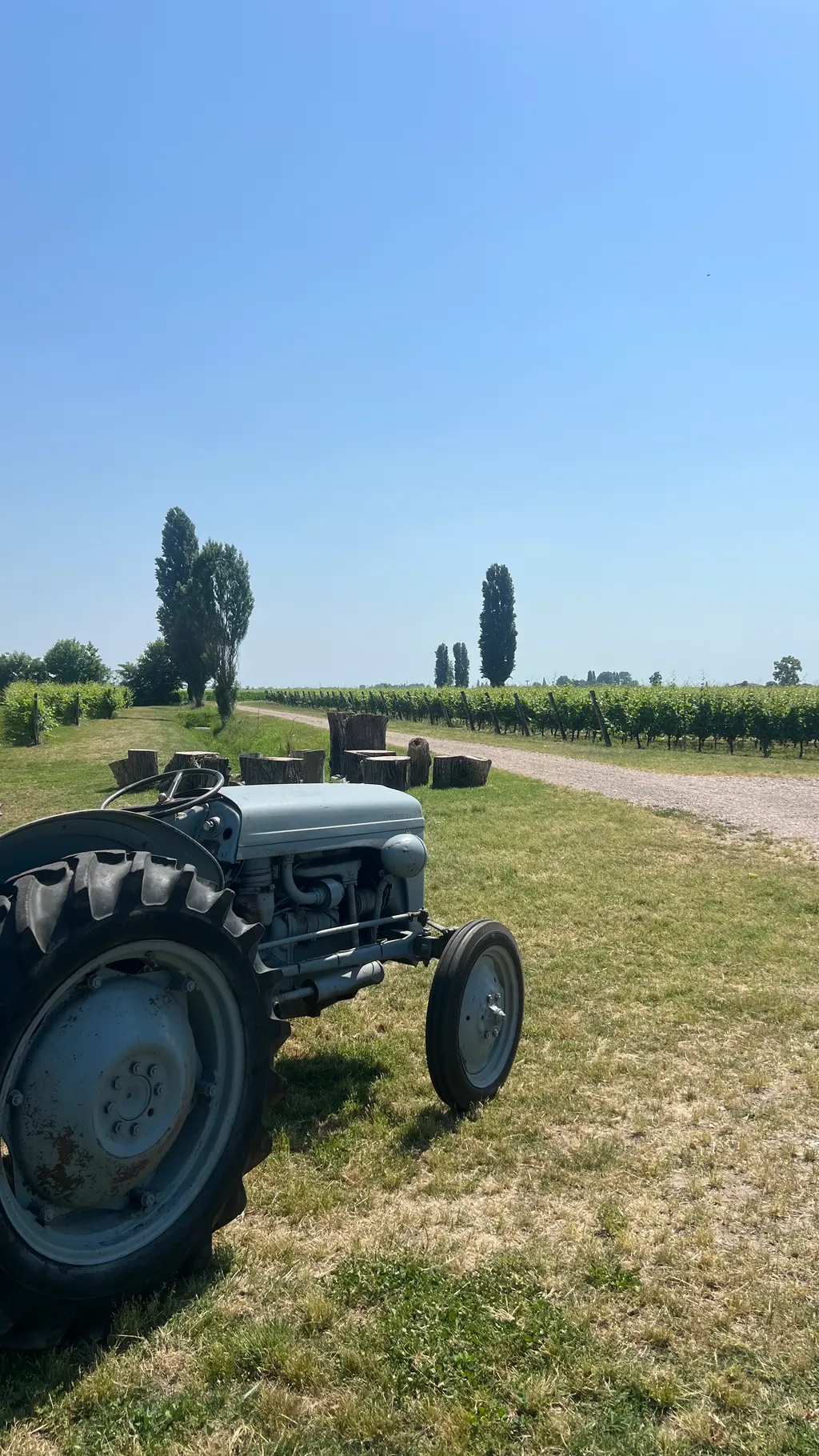 Il trattore preferito dal nonno Mario.