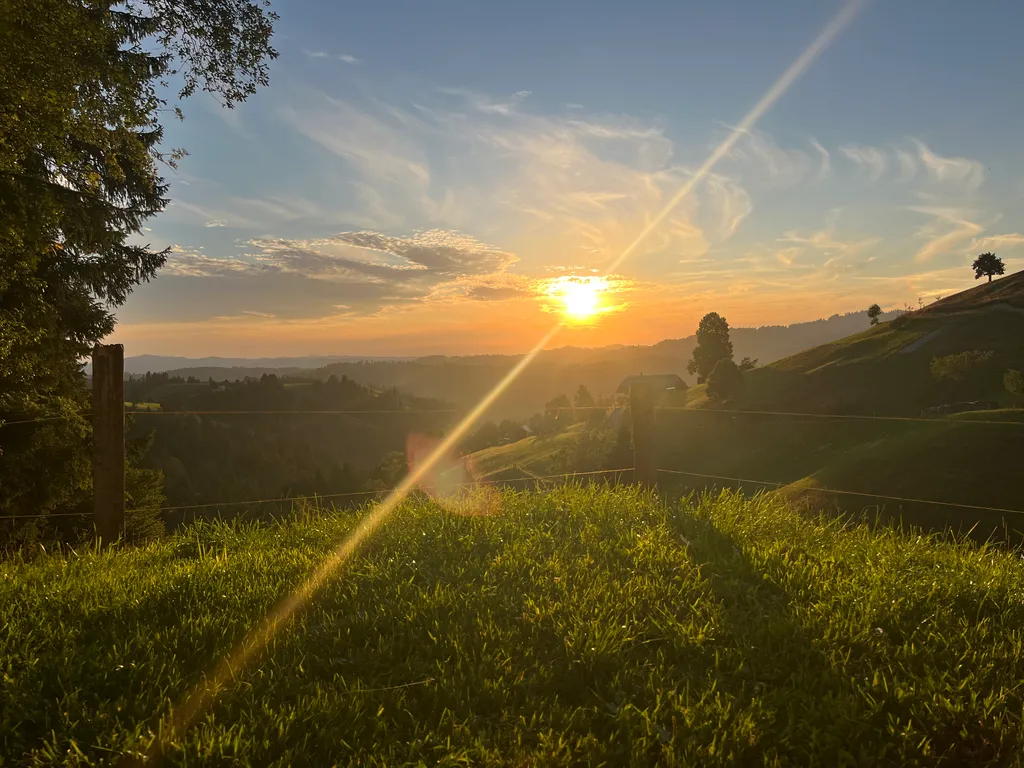 Bild von Roger für den Spot 318