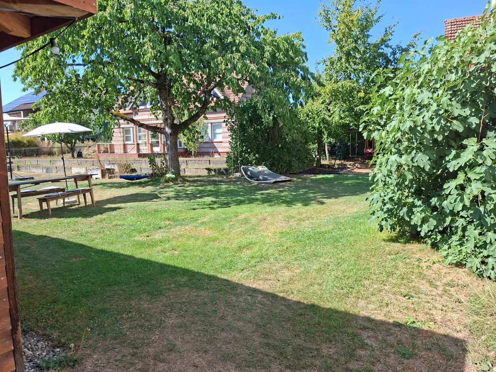 ... auf unserer Wiese