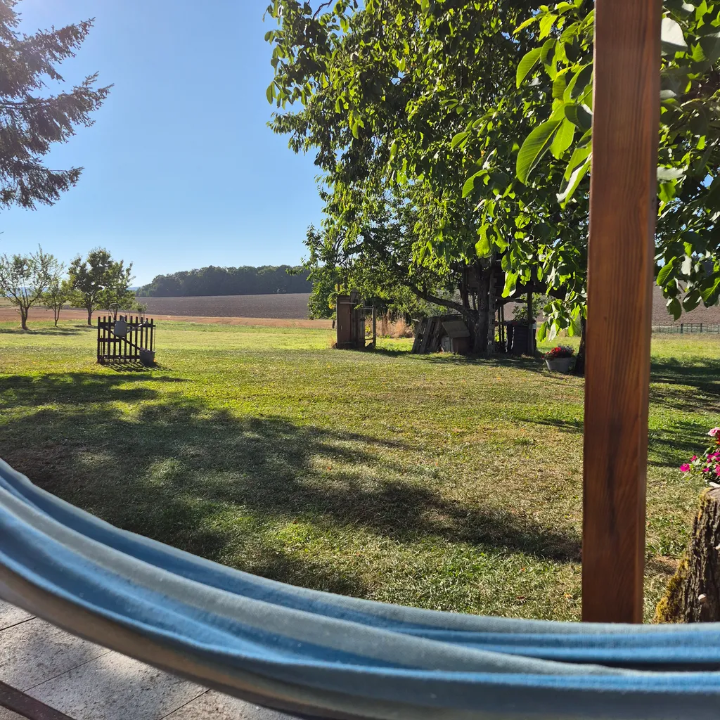 Zwischen Obstbäumen mit Weitblick